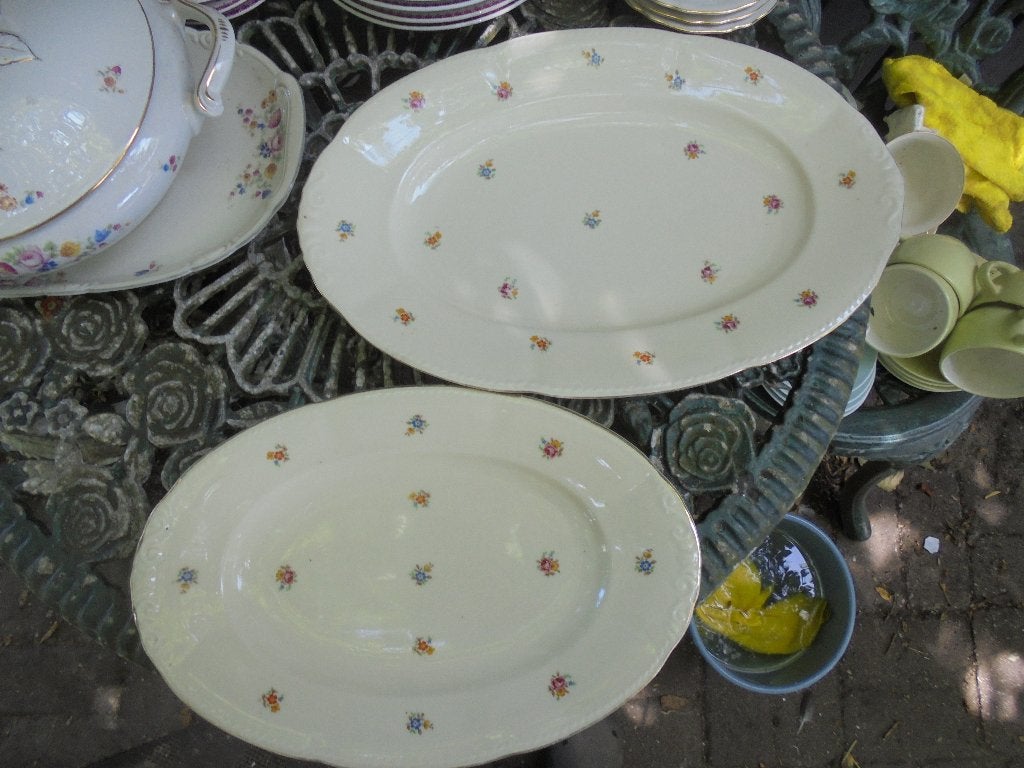 2 x ovale Vleesschaal Ivory vol kleine strooi bloemetjes, Ophalen of Verzenden