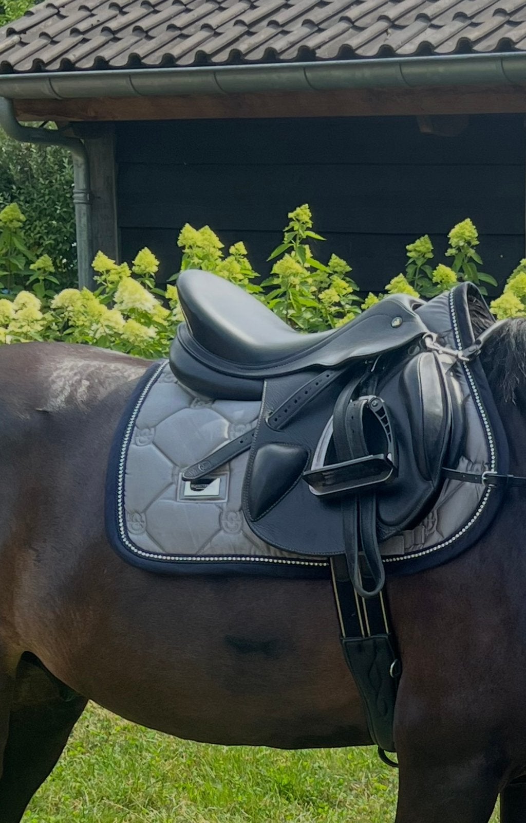 Prestige happy pony 15/34 spring zadel, XS (15.5 inch of kleiner), Gebruikt, Wijd, Prestige