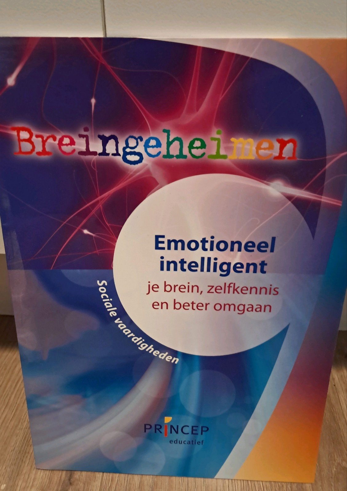 Jitske Schulte - Werkboek, Ophalen of Verzenden, Nederlands, Overige niveaus, Jitske Schulte
