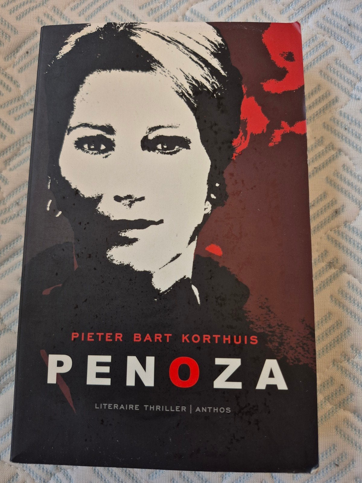 Penoza - Pieter Bart Korthuis (Literaire thriller), Boeken, Ophalen of Verzenden, Gelezen, Pieter Bart Korthuis, Nederland