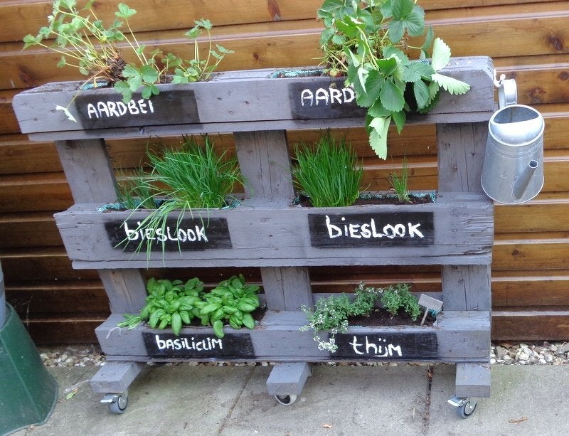   VERTIKALE rijdende kruidentuin pallet grijs, Ophalen, Gebruikt, Balkon, 60 cm of meer