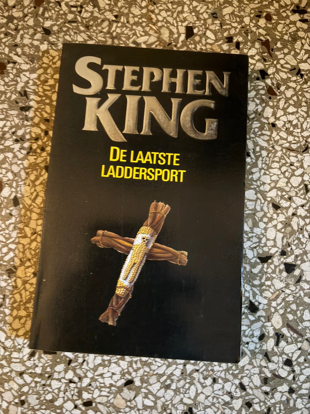 Stephen King/ De laatste laddersport, Boeken, Ophalen of Verzenden, Zo goed als nieuw