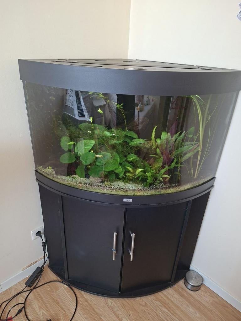 Juwel 190 liter, Dieren en Toebehoren, Vissen | Aquaria en Toebehoren, Gebruikt, Ophalen of Verzenden, Leeg aquarium, Juwel