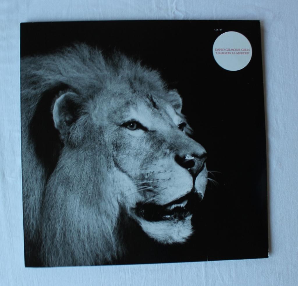 David gilmour girls - crimson as murder, Maxi-single, Ophalen of Verzenden, Zo goed als nieuw, Pop