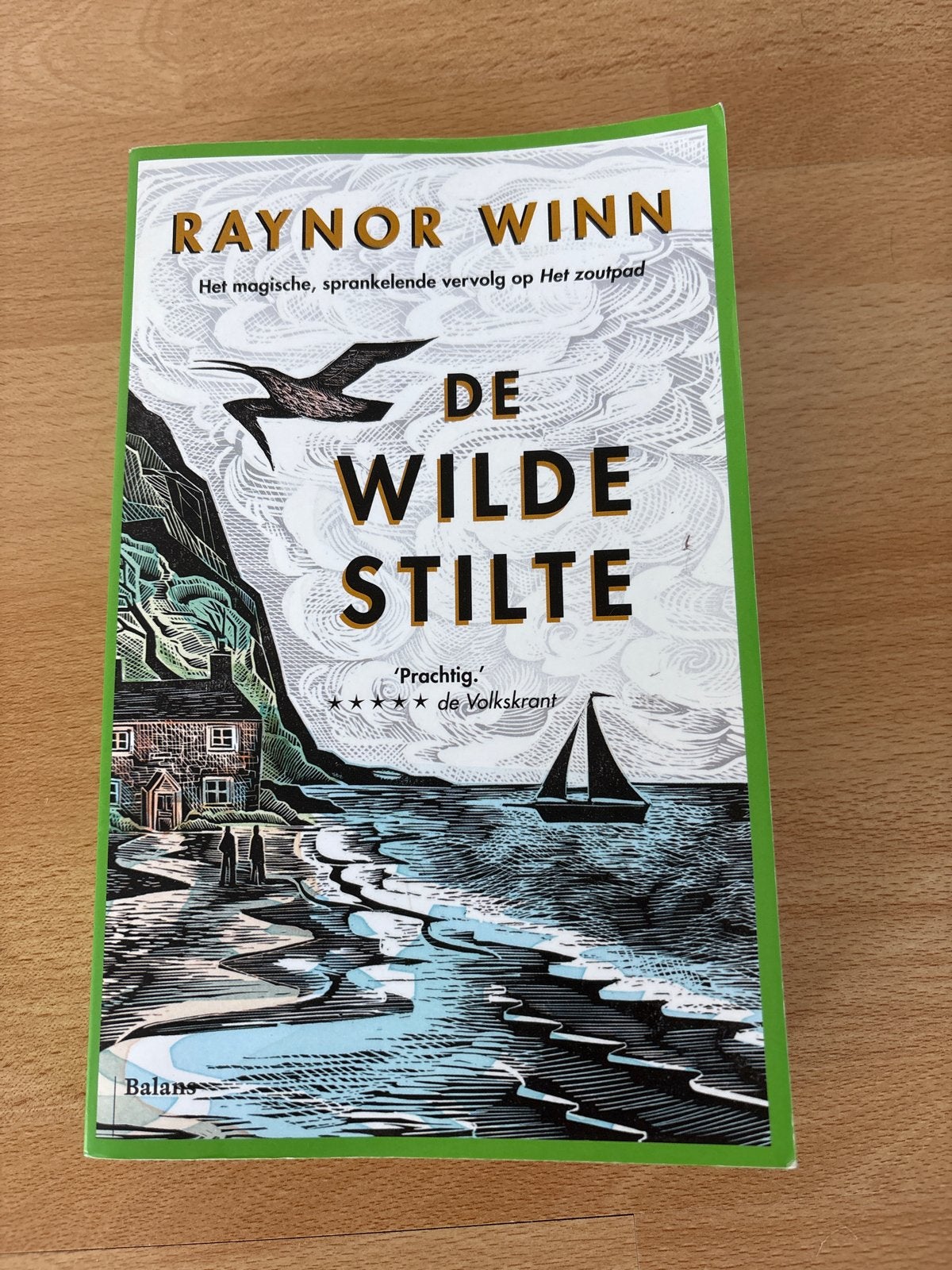 De Wilde Stilte - Raynor Winn (Zo goed als nieuw), Ophalen of Verzenden, Zo goed als nieuw, Nederland
