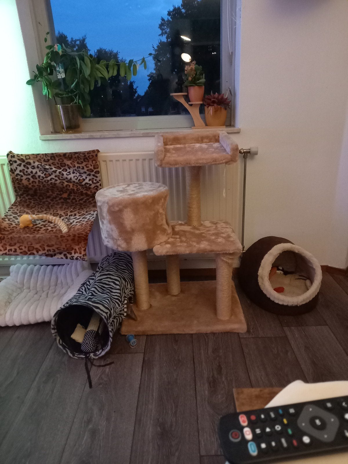 krabpaal te koop, Dieren en Toebehoren, Katten-accessoires, Ophalen of Verzenden