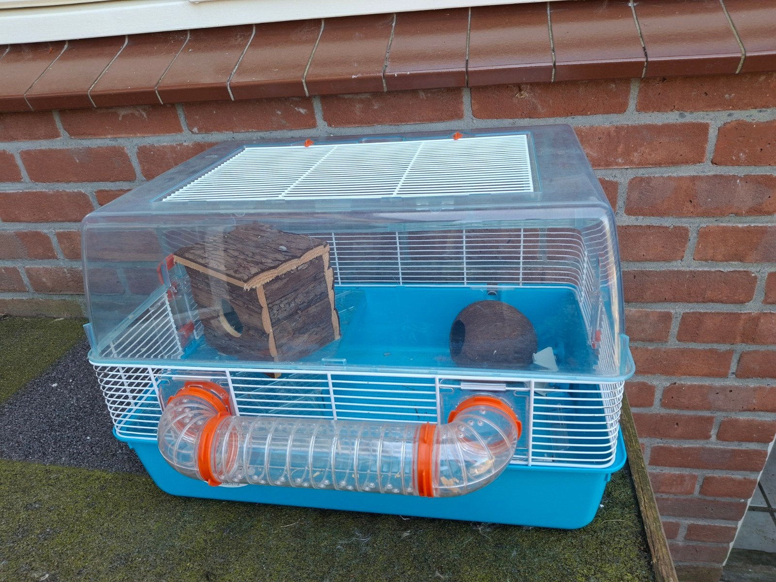 Hamsterhok, Gebruikt, Minder dan 75 cm, Muis, Hok