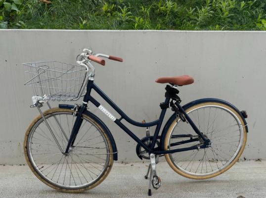 Veloretti blauwe damesfiets fiets Robyn, Terugtraprem, 50 tot 53 cm, Ophalen, Overige merken