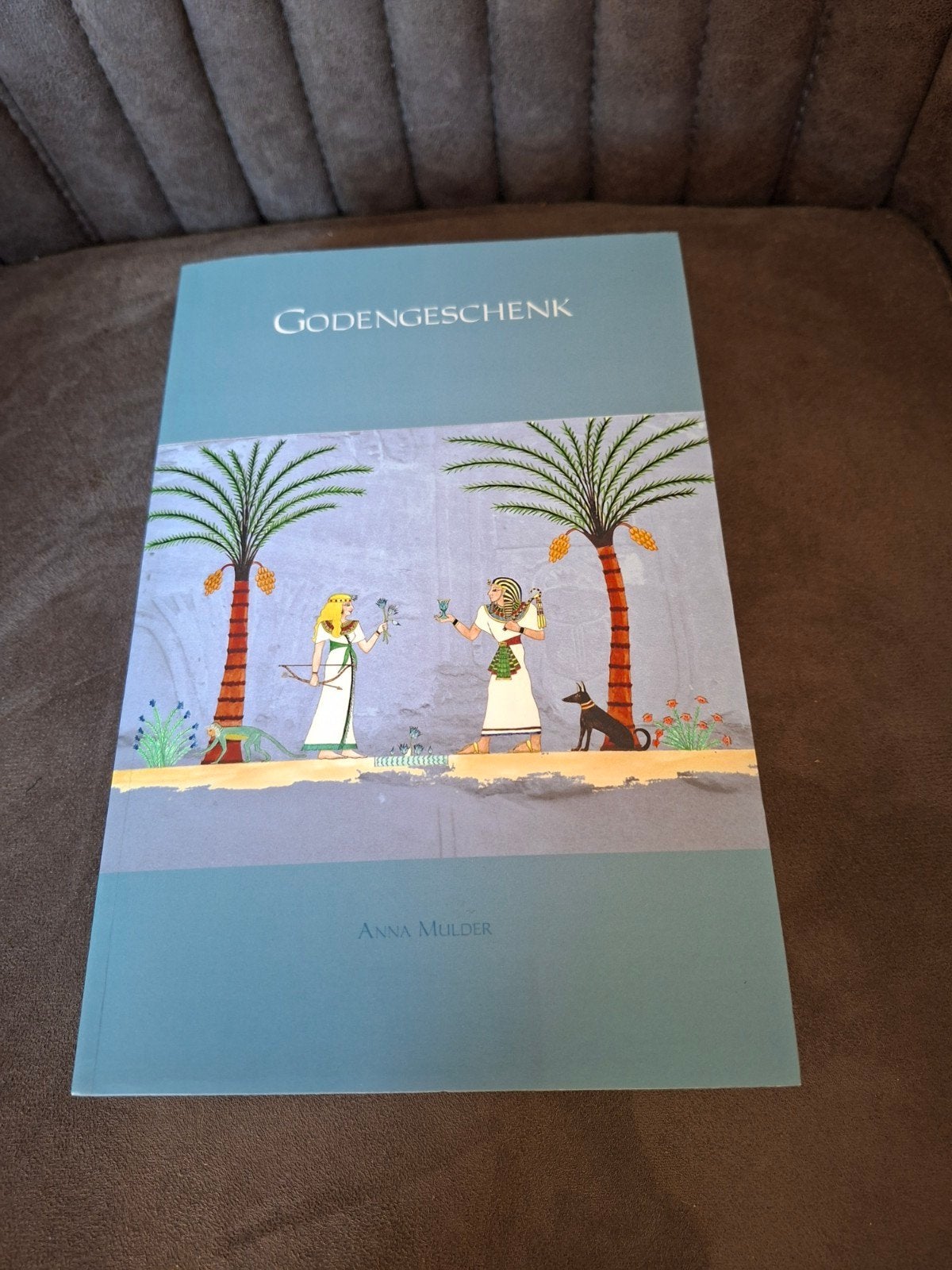 Godengeschenk - Anna Mulder (Historische roman), Ophalen of Verzenden, Zo goed als nieuw, Anna Mulder, Nederland