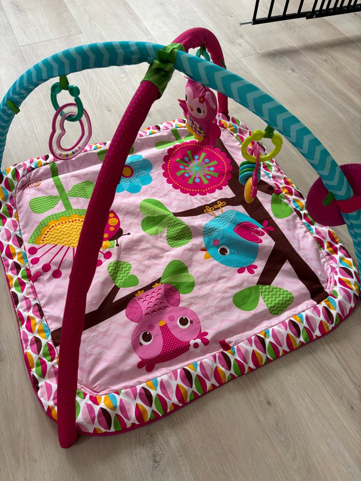 Bright Starts Speelkleed met Babygym - Roze Uiltjes, Ophalen, Zo goed als nieuw, Speelkleed