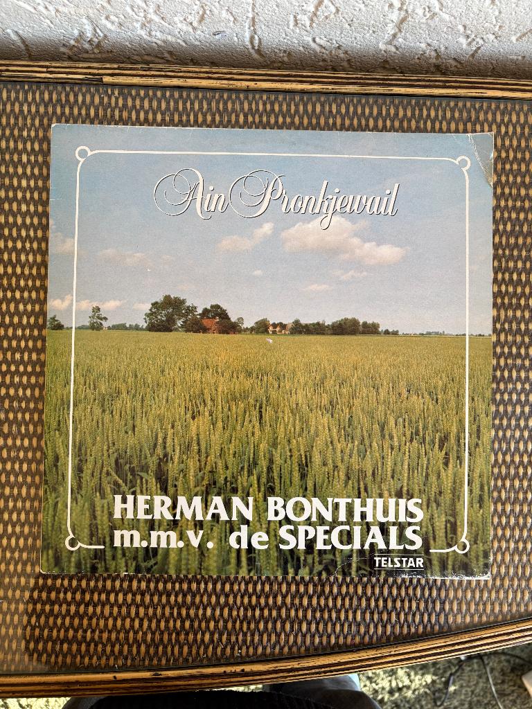 Herman Bonthuis & De Specials - Ain Pronkjewail - 1980, Ophalen of Verzenden, Gebruikt, 12 inch, Streekmuziek
