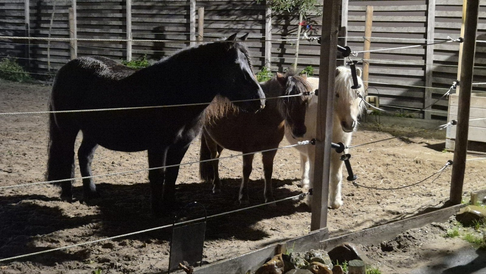 2 plekken voor a ponys, Stalling, 2 of 3 paarden of pony's