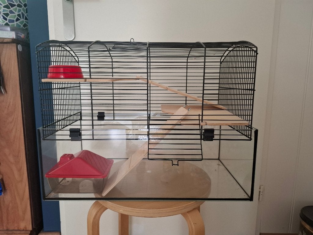 Gerbil/Hamster kooi, Kooi, Gebruikt, Minder dan 75 cm, Muis