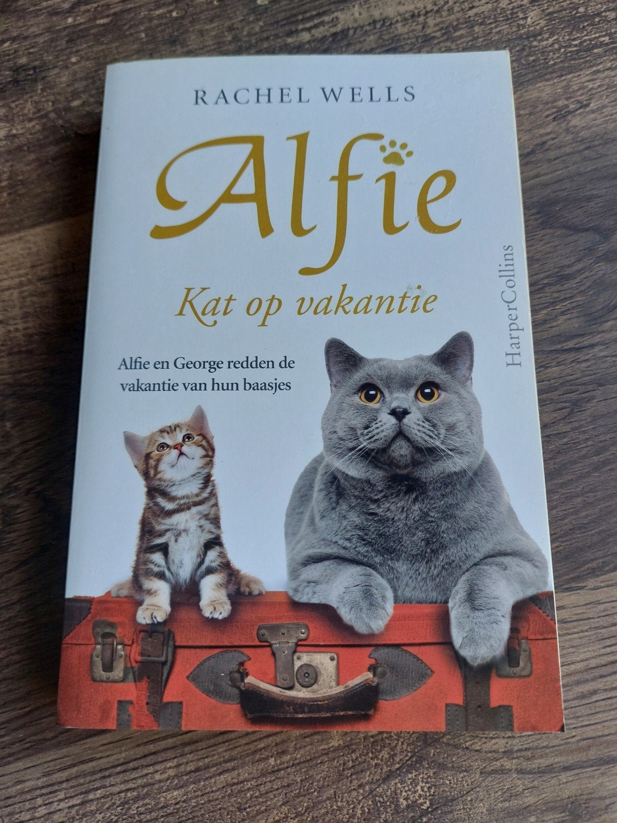Alfie kat op vakantie Rachel Wells, Boeken, Ophalen of Verzenden