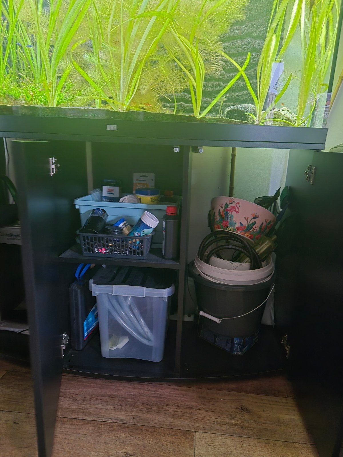 juwel vision 260, Ophalen, Pomp, Juwel, Gevuld zoetwateraquarium