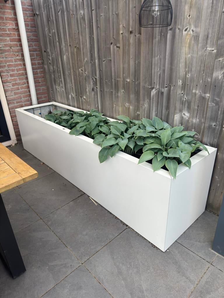 Grote witte plantenbakken van SEV, Tuin en Terras, Bloembakken en Plantenbakken, Ophalen, 100 cm of meer, Zo goed als nieuw, Balkon
