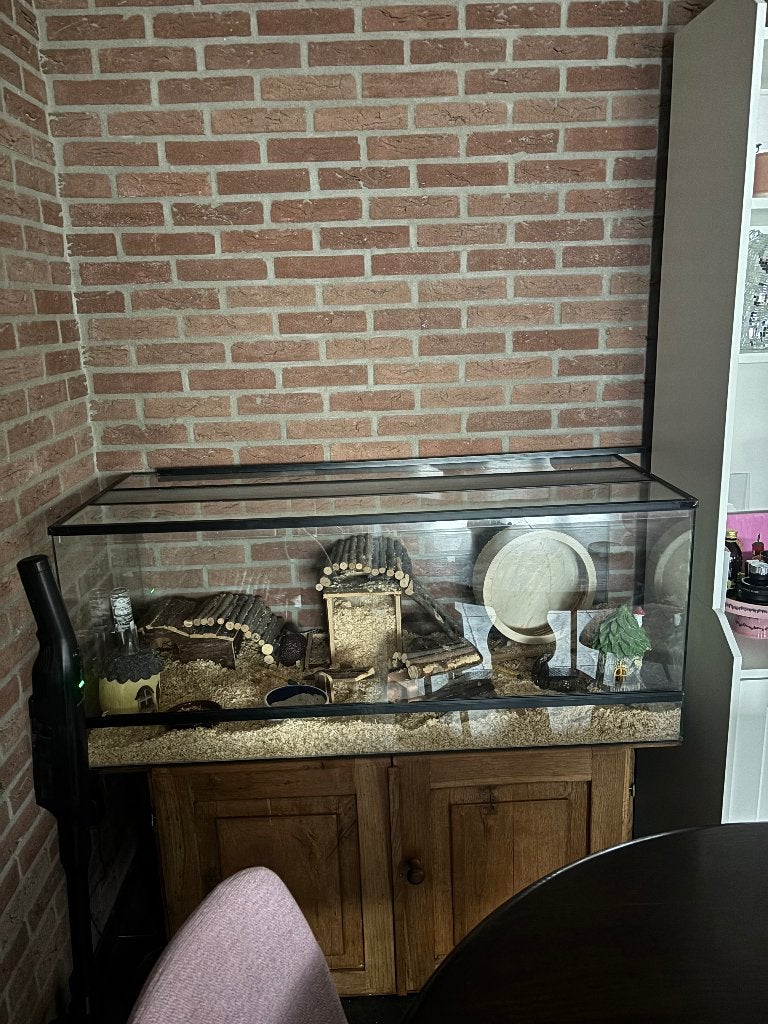 Hamsterhok / terrarium, Dieren en Toebehoren, Knaagdieren en Konijnen | Hokken en Kooien, Muis, Hok, Ophalen, Minder dan 60 cm