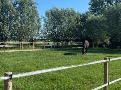 Stalling aangeboden voor pony ruin, pension/paard/pensioen, Dieren en Toebehoren, Stalling en Weidegang, Stalling, 1 paard of pony