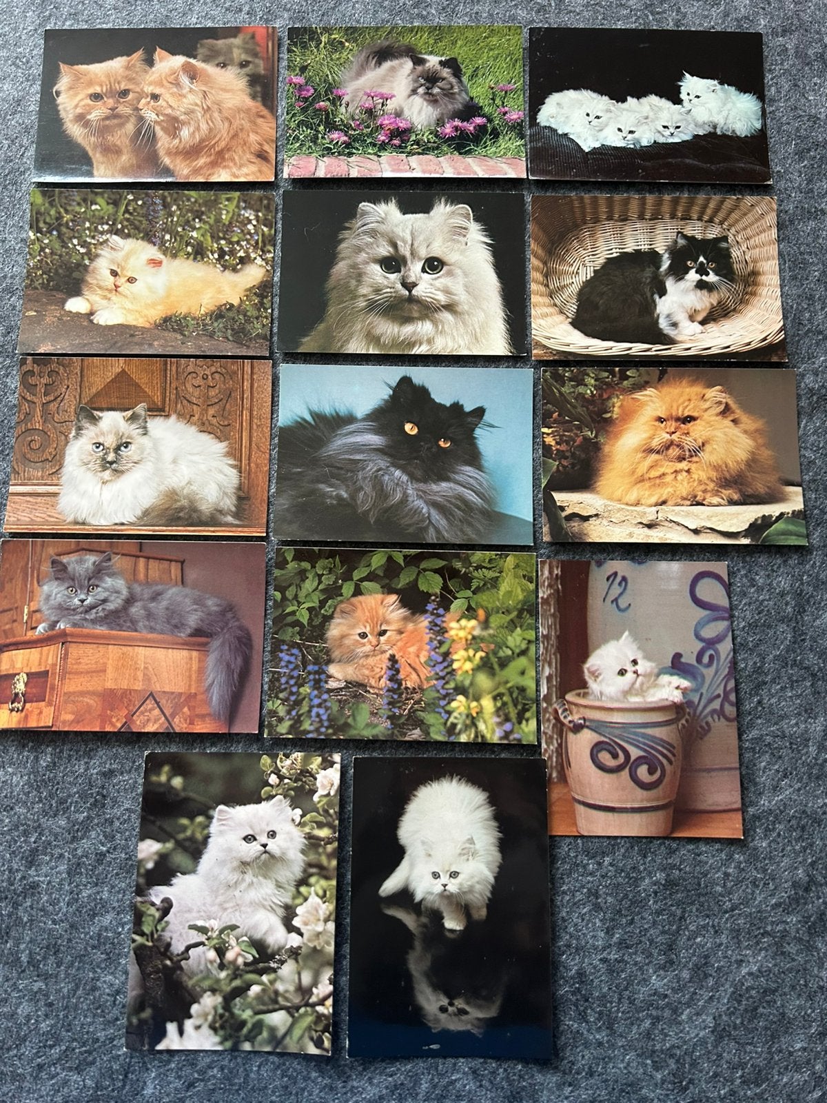 Retro kstten ansichtkaarten van de Prezische kat, Ophalen of Verzenden, 1980 tot heden, Hond of Kat
