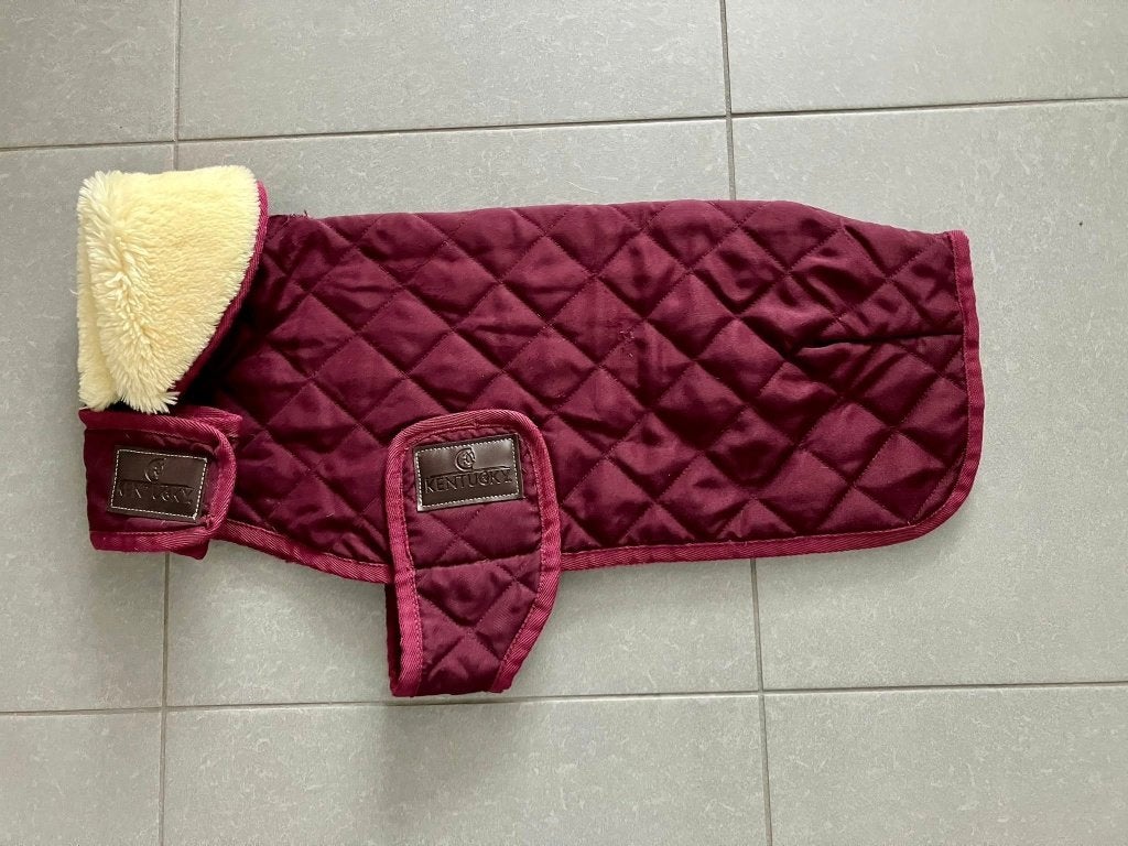 Kentucky Dogwear Hondenjas Original Bordeaux maat L, Dieren en Toebehoren, Hondenkleding, Ophalen of Verzenden, Hondenjas