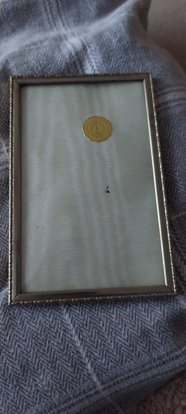 Vintage fotolijst met gouden medaillon, Gebruikt, Ophalen of Verzenden, Fotolijst, Met glas