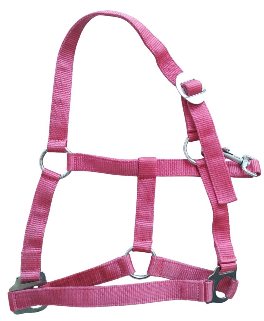Halster roze cob, Ophalen of Verzenden, Roze, Halster, Cob