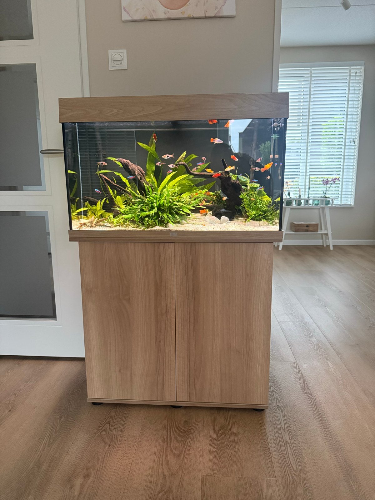 Juwel Rio 125, Dieren en Toebehoren, Ophalen, Zo goed als nieuw, Leeg aquarium