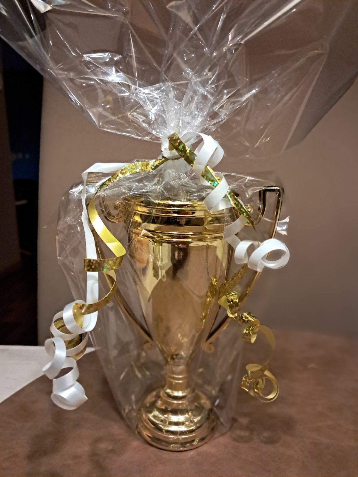Plastic gouden Trofee, Ophalen of Verzenden, Gebruikt