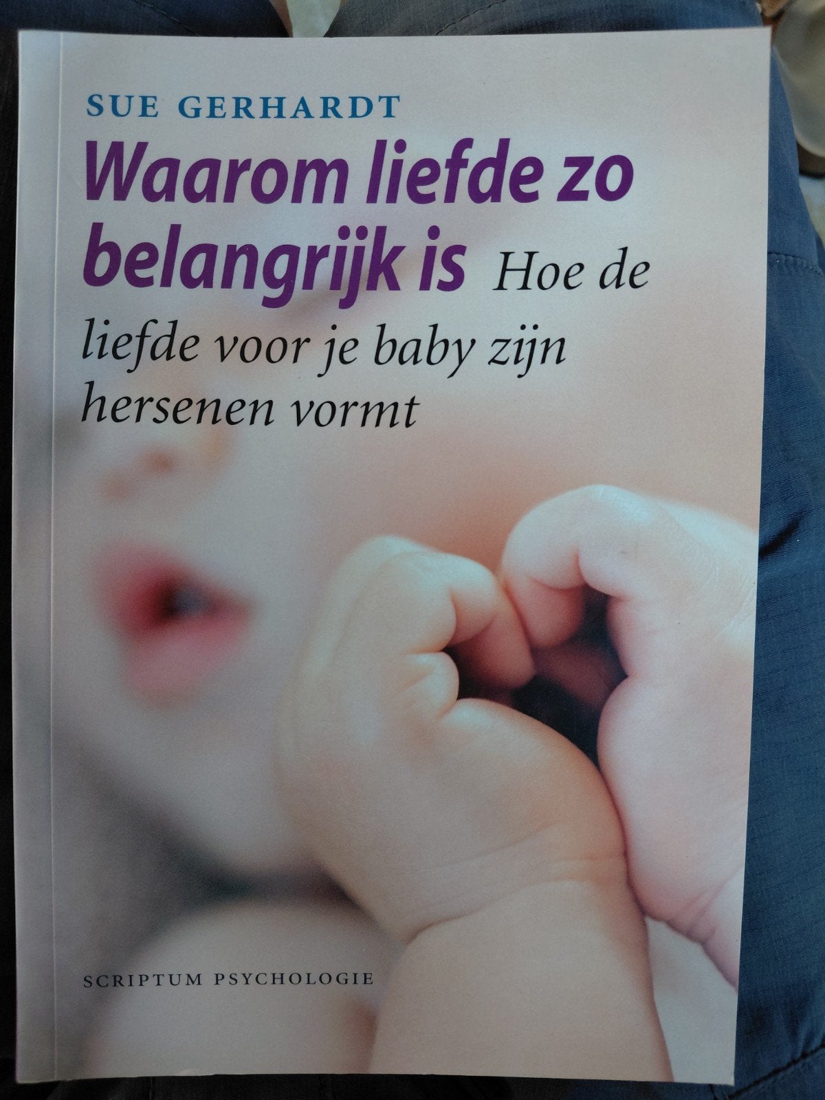 Sue Gerhardt - Waarom liefde zo belangrijk is, Boeken, Sue Gerhardt, Ophalen of Verzenden, Ontwikkelingspsychologie, Zo goed als nieuw