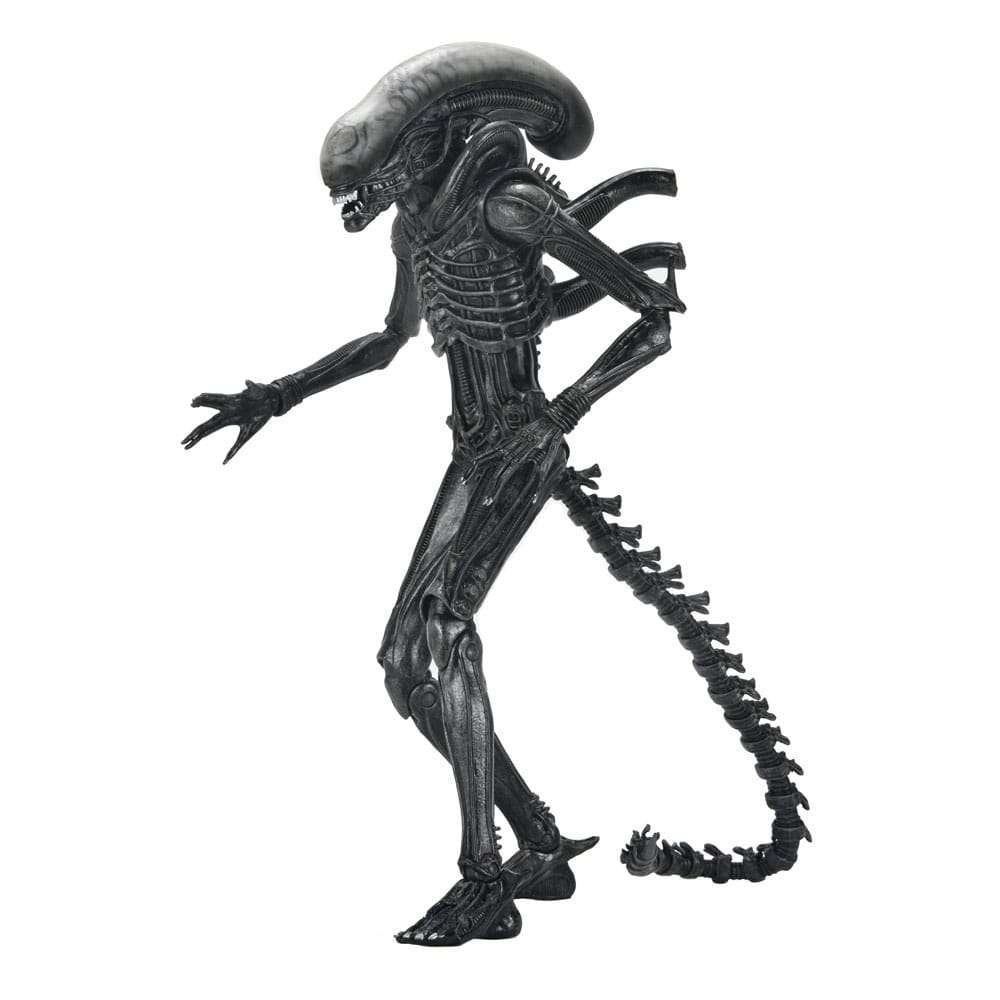 Alien Romulus Action Figure Ultimate Xenomorph XX121, Heo, Nieuw, Ophalen of Verzenden, NECA