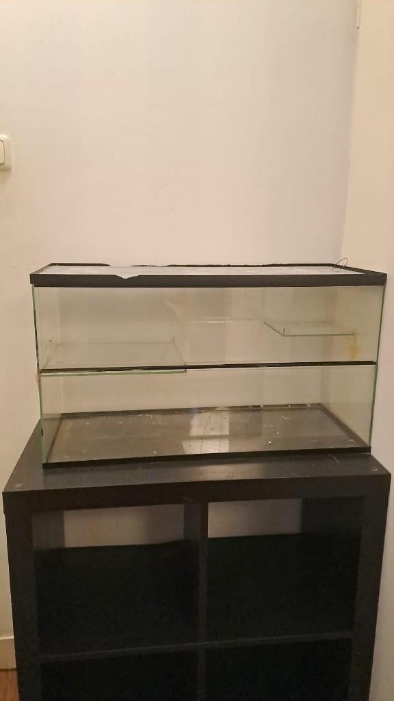 Knagdieren huis en terrarium, Dieren en Toebehoren, Knaagdieren en Konijnen | Hokken en Kooien, Minder dan 75 cm, Hamster, Hok