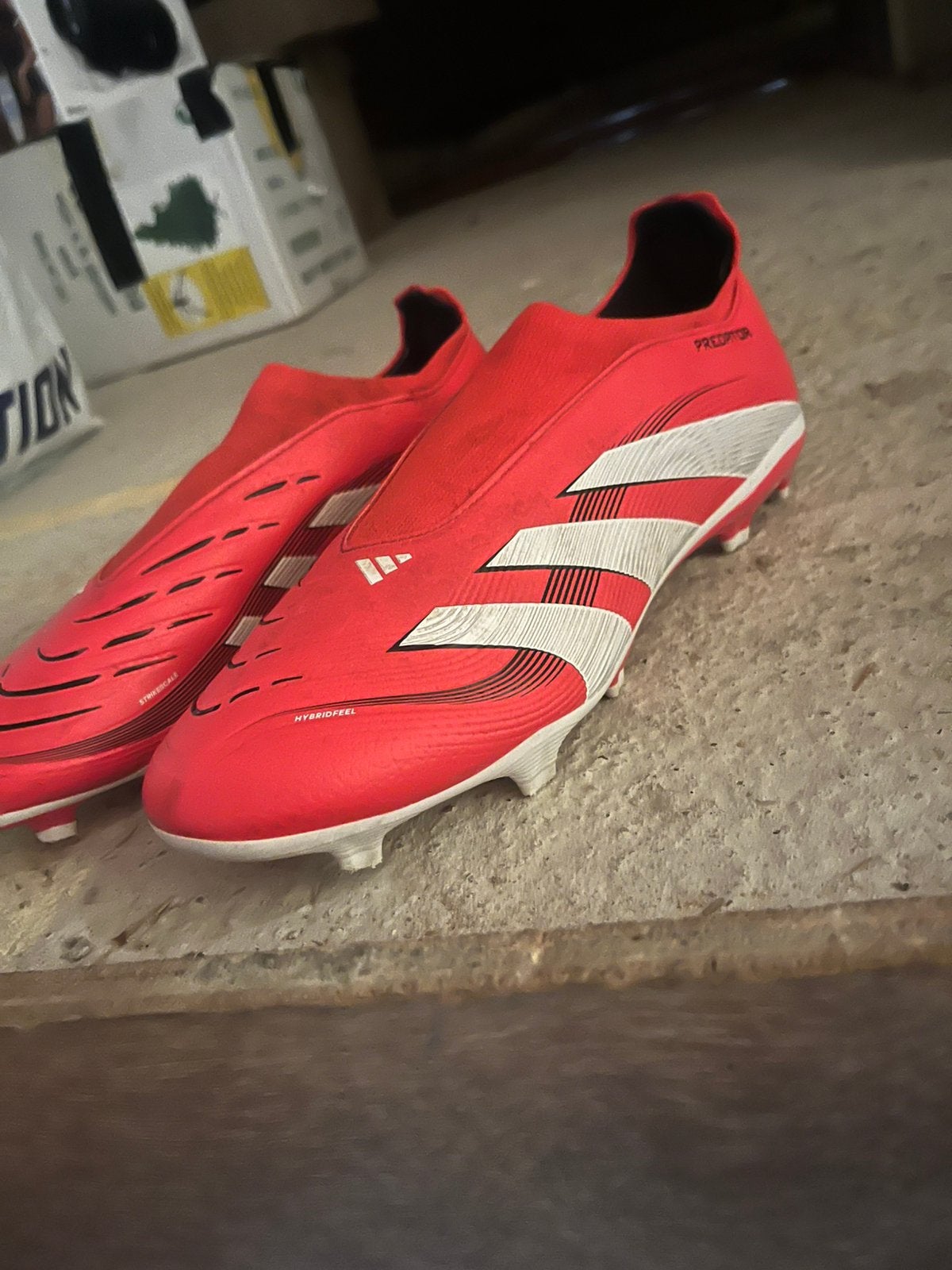 Predator voetbalschoenen, Sport en Fitness, Voetbal, Schoenen, Nieuw, Ophalen of Verzenden, Maat S
