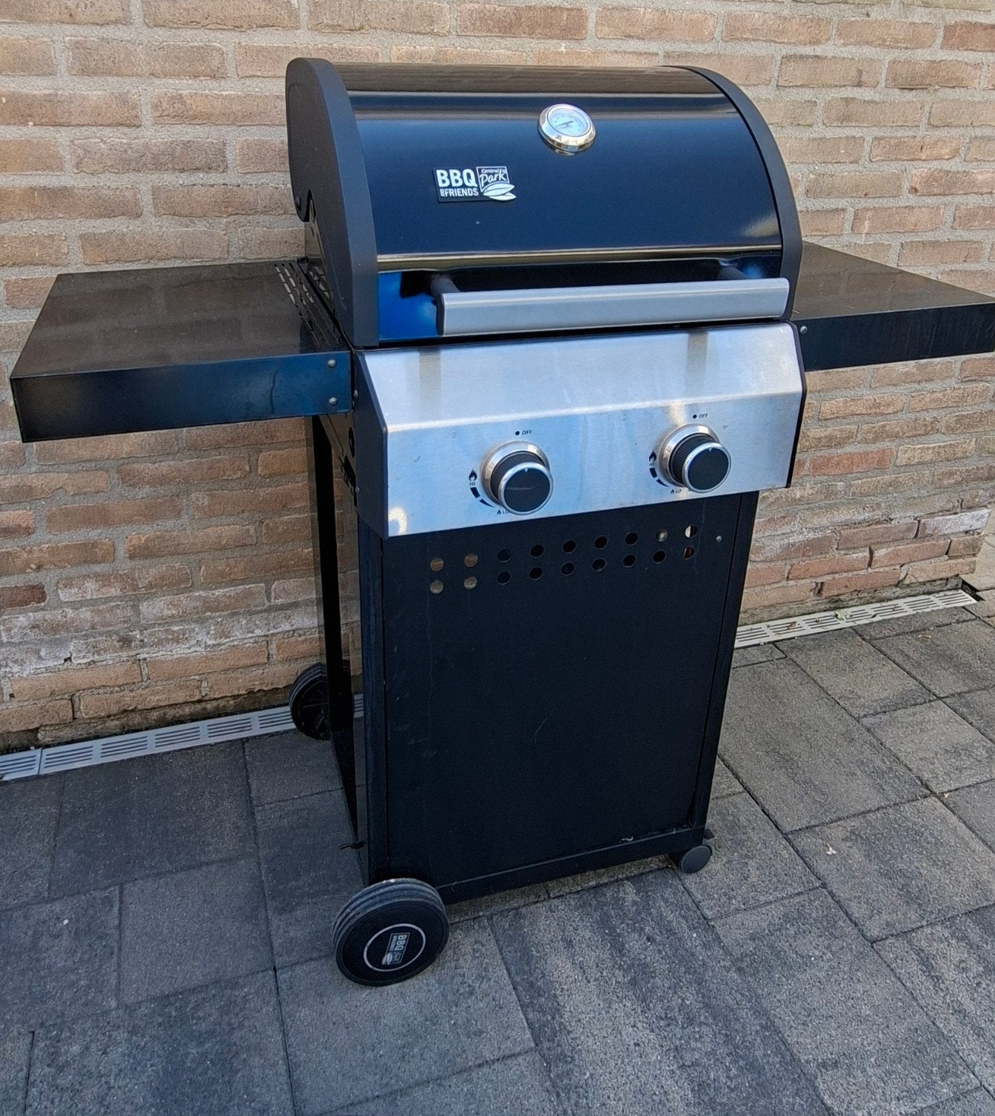 Gas BBQ Friends gasbarbecue met 2 branders, Ophalen, Zo goed als nieuw, BBQ Friends