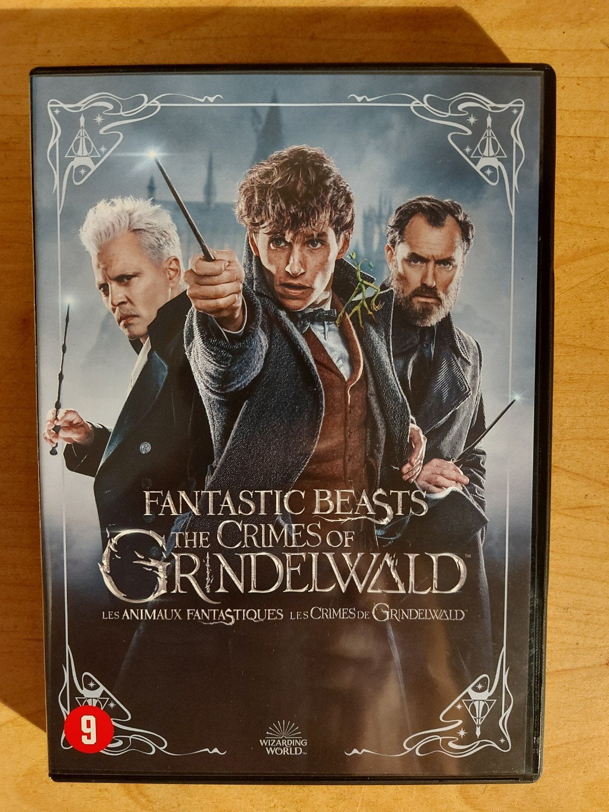 Fantastic Beasts and Where to Find Them 2 : Grindlewald, Cd's en Dvd's, Alle leeftijden, Ophalen of Verzenden, Zo goed als nieuw