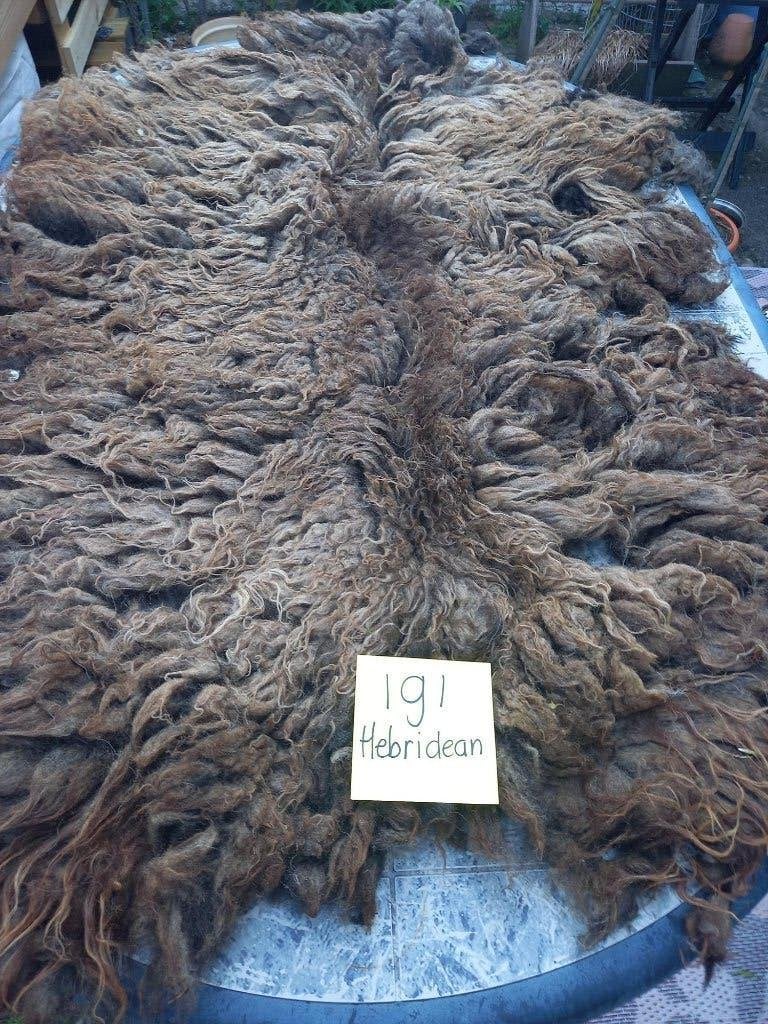 nr 191 Geschoren vacht van een Hebridean schaap, Ophalen of Verzenden, Gebruikt