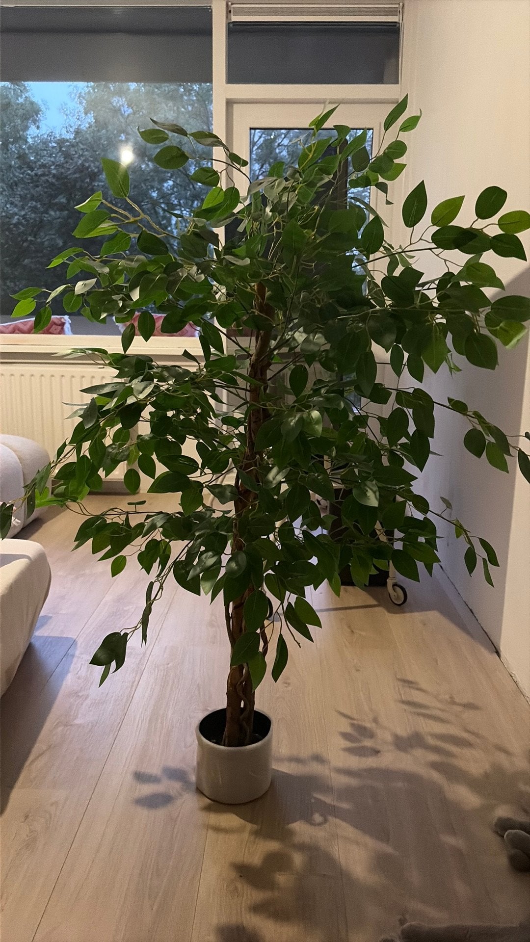 Kunstplant ficus 130cm, Ophalen, Groen, Kunstplant, Nieuw