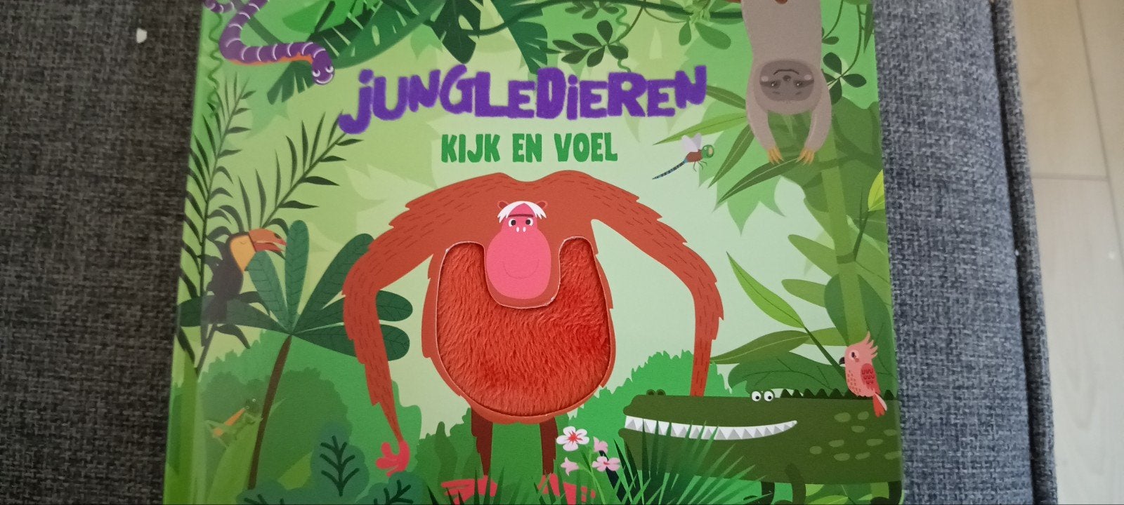 Fiona huisman voorleesboekje kijken en voelen, Ophalen of Verzenden, Zo goed als nieuw