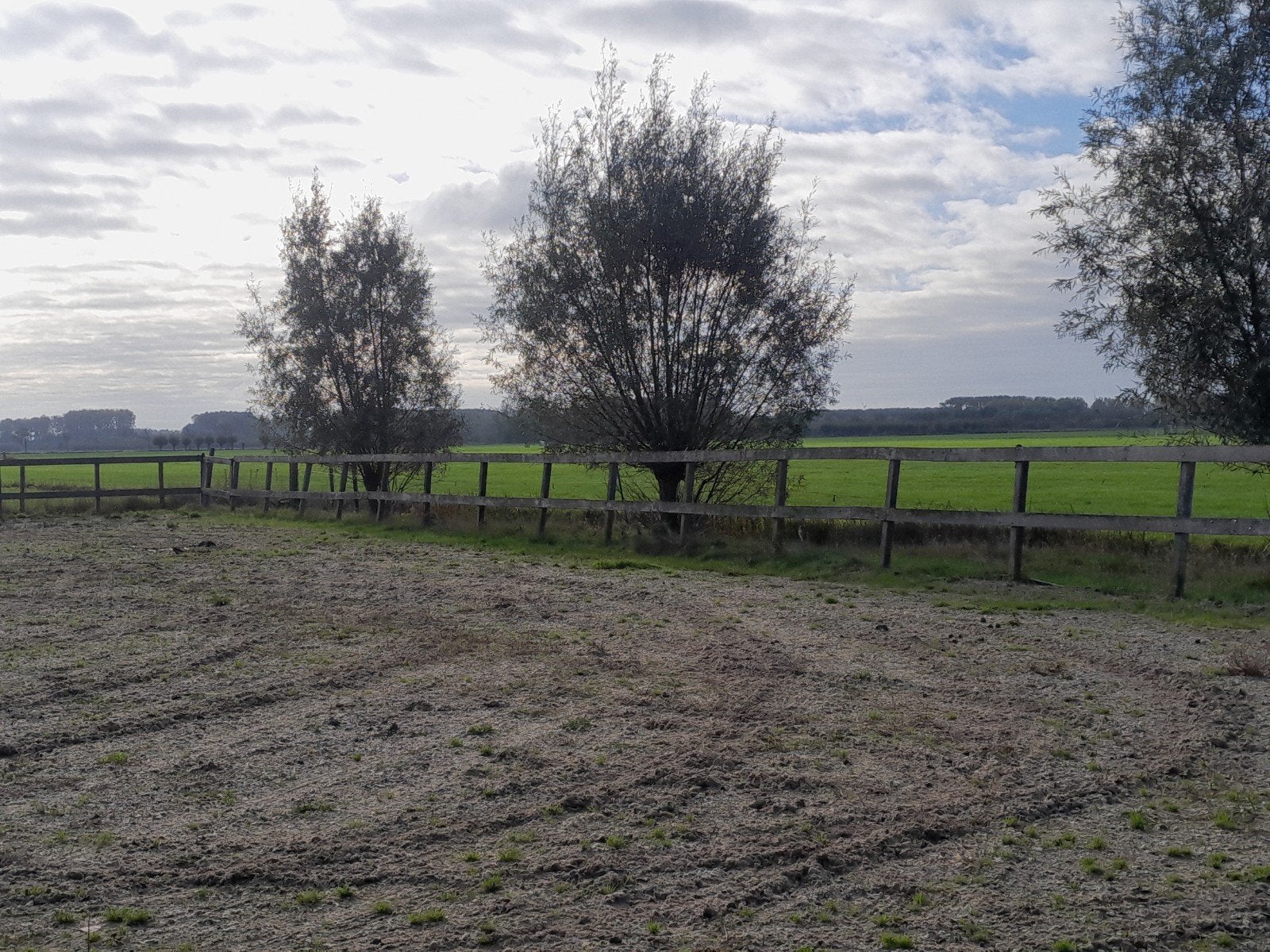 paardenbak paddock hardhouten planken palen paardrijbak, Tuin en Terras, Ophalen, Gebruikt, Planken, Hardhout