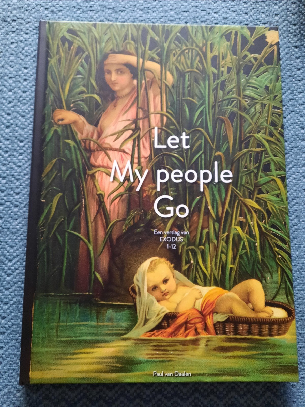 Let My People Go - Een verslag van Exodus 1-12, Boeken, Ophalen of Verzenden, Zo goed als nieuw, Paul van Daalen, Christendom | Protestants