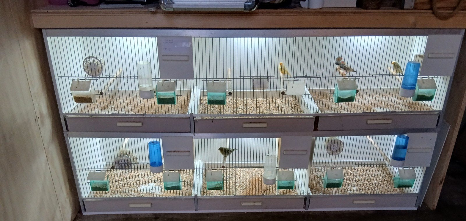 Helemaal complete gehu kooi, Dieren en Toebehoren, Ophalen of Verzenden, Zo goed als nieuw, Vogelkooi