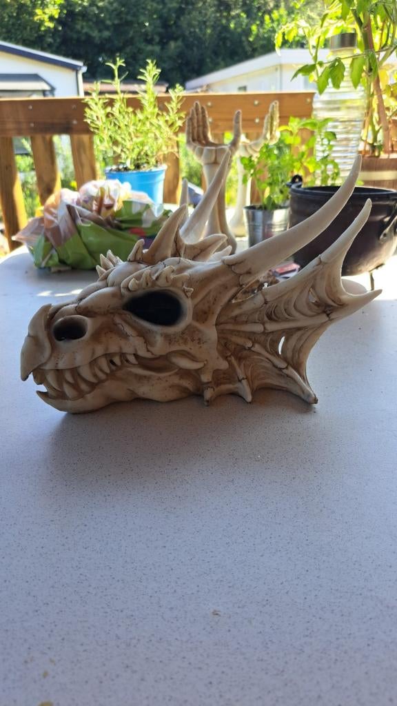 Nieuw grote draken schedel, Verzenden, Nieuw, Fantasy