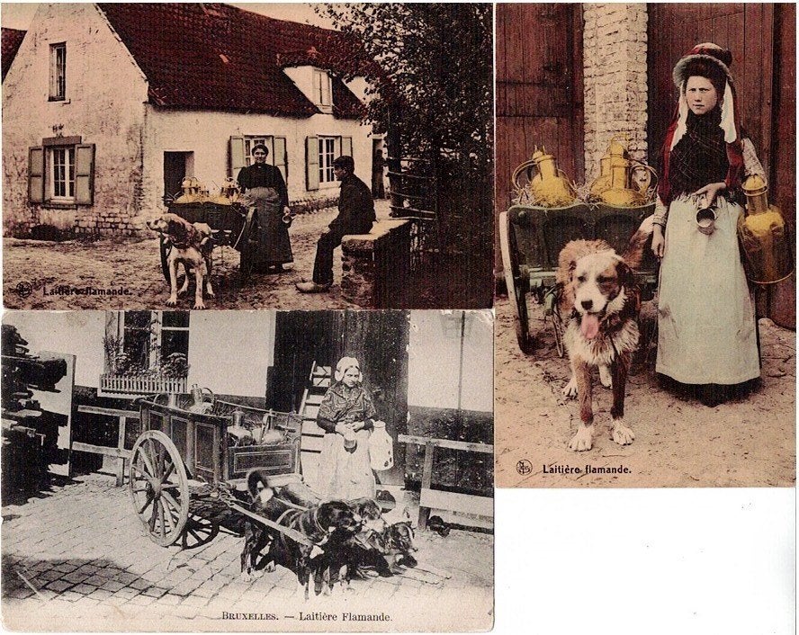Oude Belgische Melkboer/Melkmeisje Ansichtkaarten (3 stuks), Verzenden, Voor 1920, Ongelopen, Brussel (Gewest)