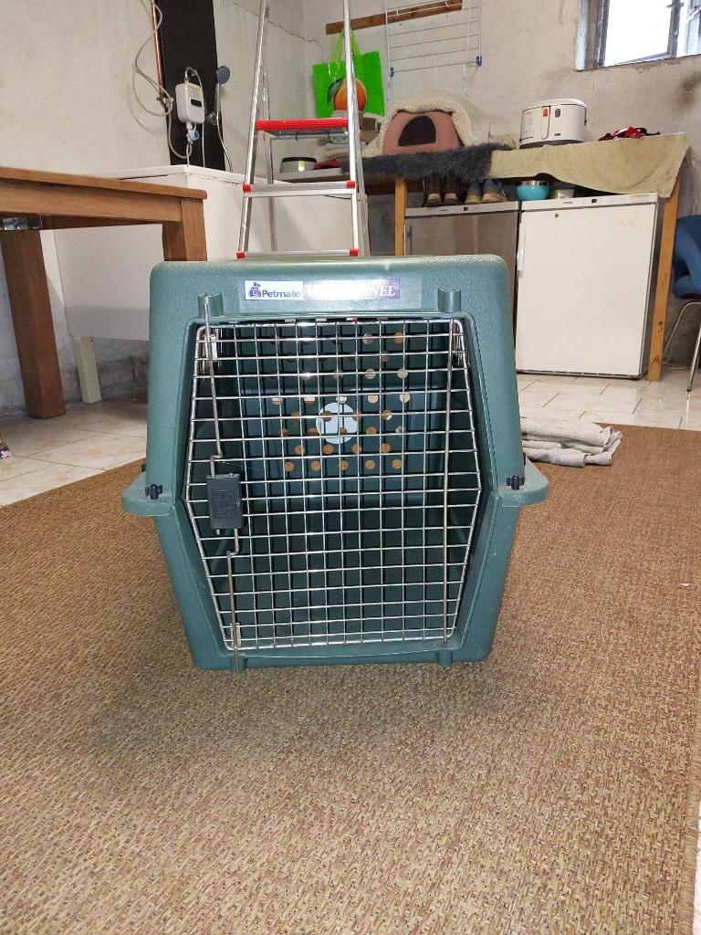 Te Koop: Hondentransportbox, Ophalen of Verzenden, Gebruikt