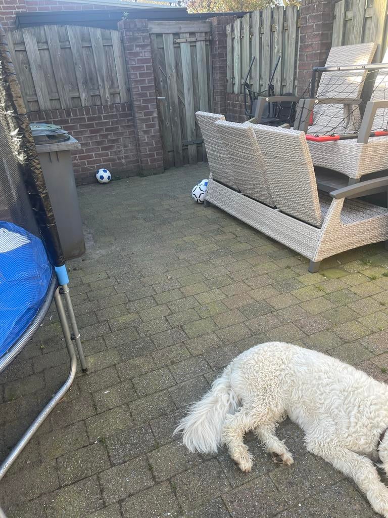 Gratis tuintegels + €100,- | ongeveer 25 m2, 20x15x6 cm, Ophalen, Gebruikt