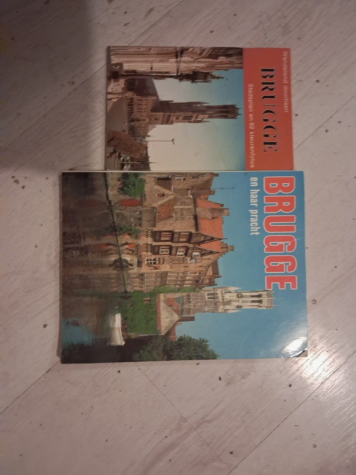 Brugge Reisgidsen - Wandelend doorheen aar, Verzenden, Reisgids of -boek, Benelux, Onbekend