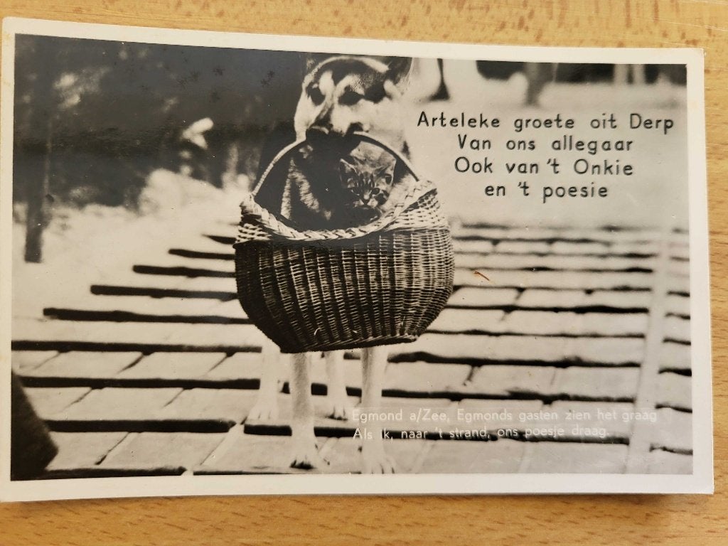 ansicht EGMOND Humor Hond Arteleke, Ophalen of Verzenden, Voor 1920, Noord-Holland