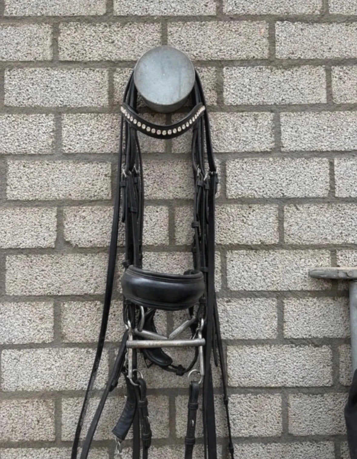 Dyon stang en trens hoofdstel, Hoofdstel, Ophalen of Verzenden, Inclusief teugels, Full