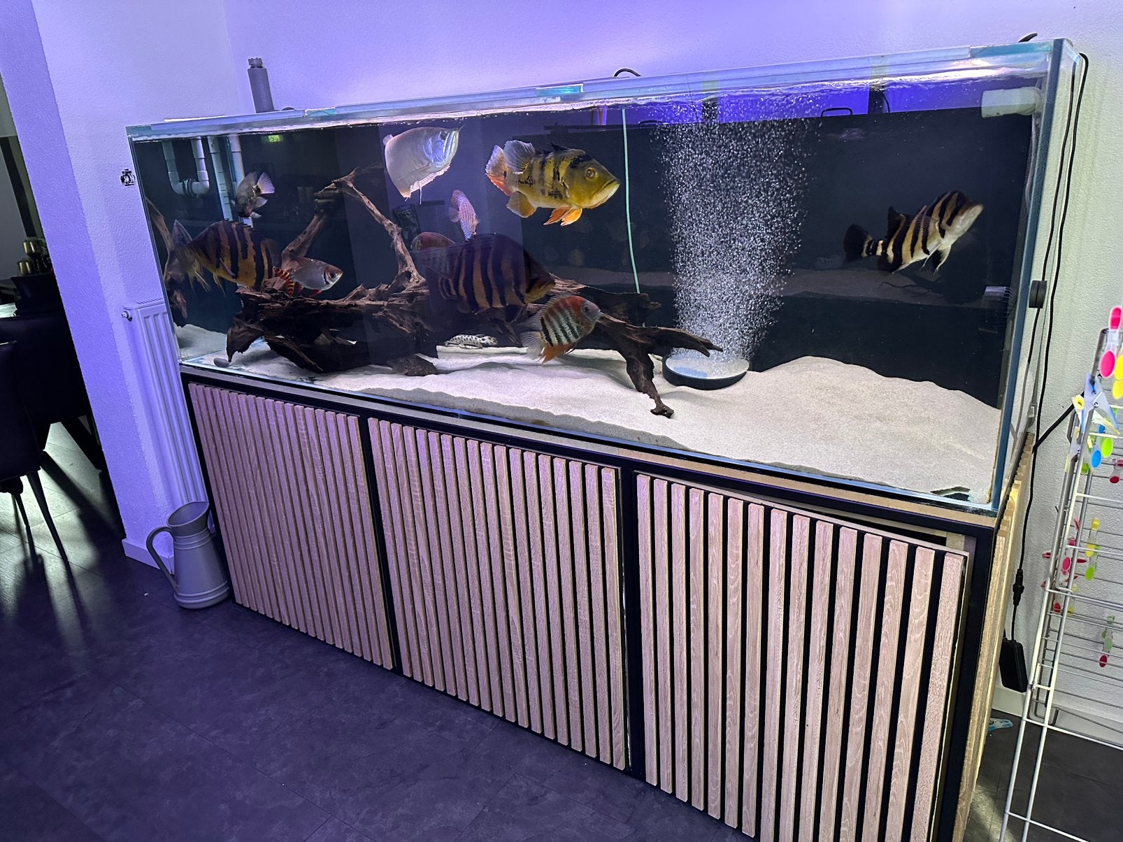 Groot aquarium 230 cm, Dieren en Toebehoren, Ophalen, Zo goed als nieuw, Leeg aquarium