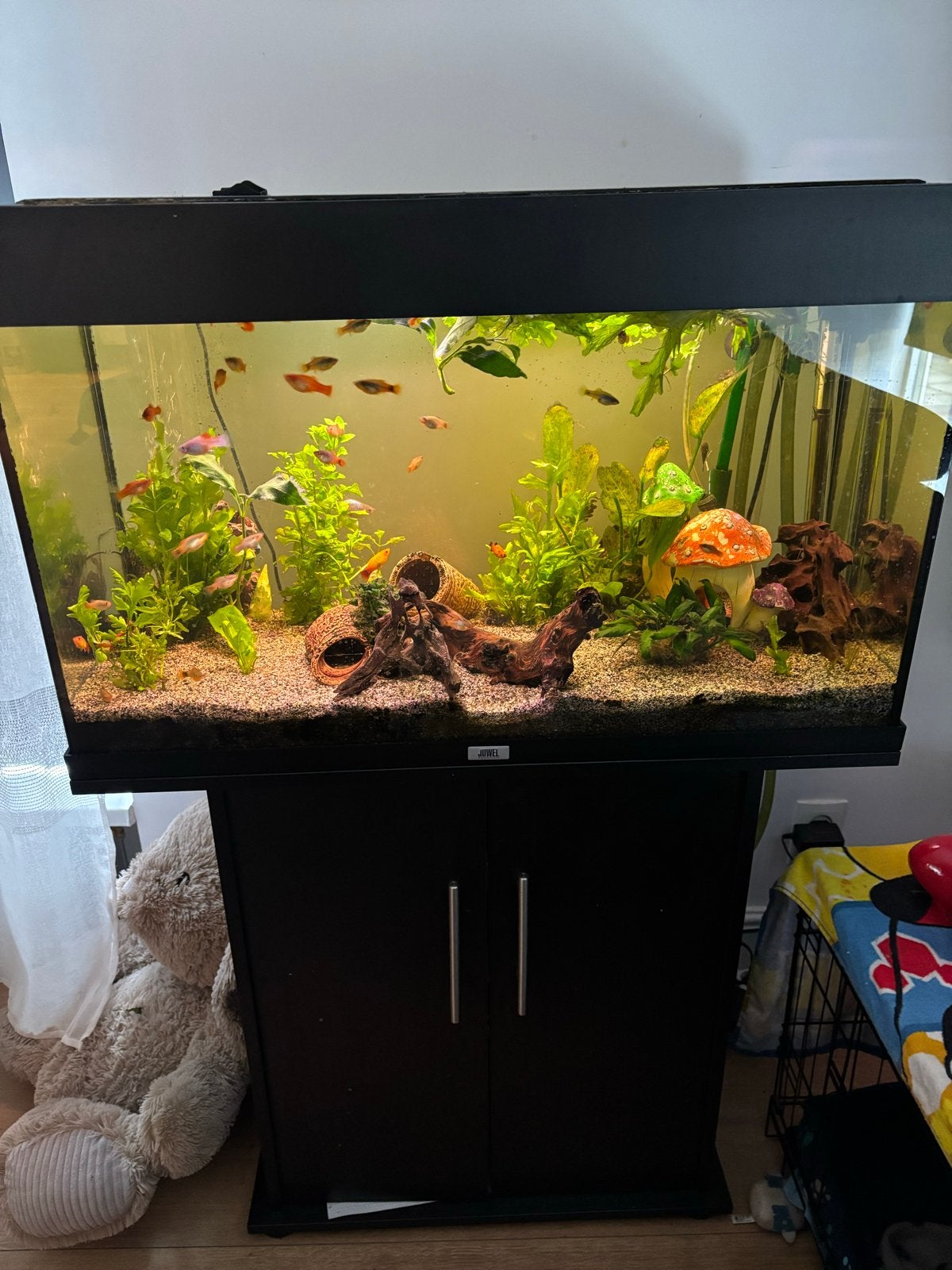 Aquarium 125 liters met kast juwel, Dieren en Toebehoren, Ophalen