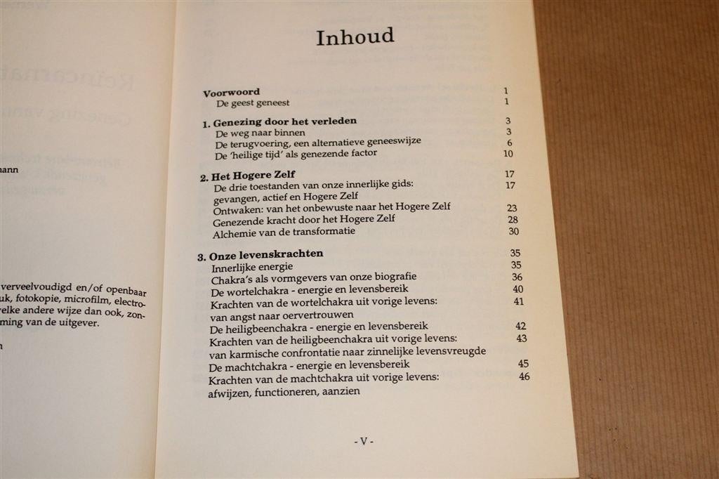 Reïncarnatie Therapie — Genezing vanuit Voorbije Levens, Boeken, Ophalen of Verzenden, Gelezen, Overige onderwerpen, Achtergrond en Informatie